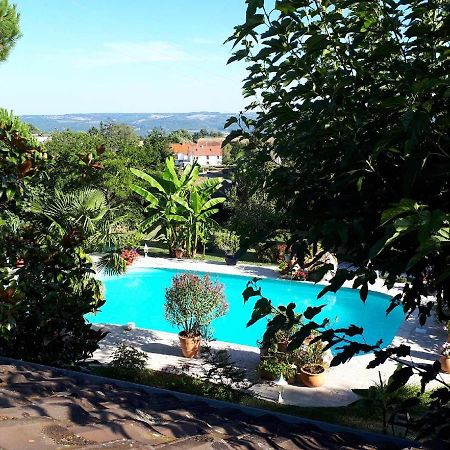 Bed and Breakfast L'Alivu Couches Esterno foto