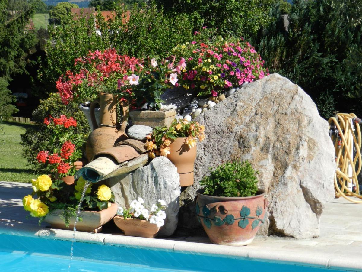 Bed and Breakfast L'Alivu Couches Esterno foto
